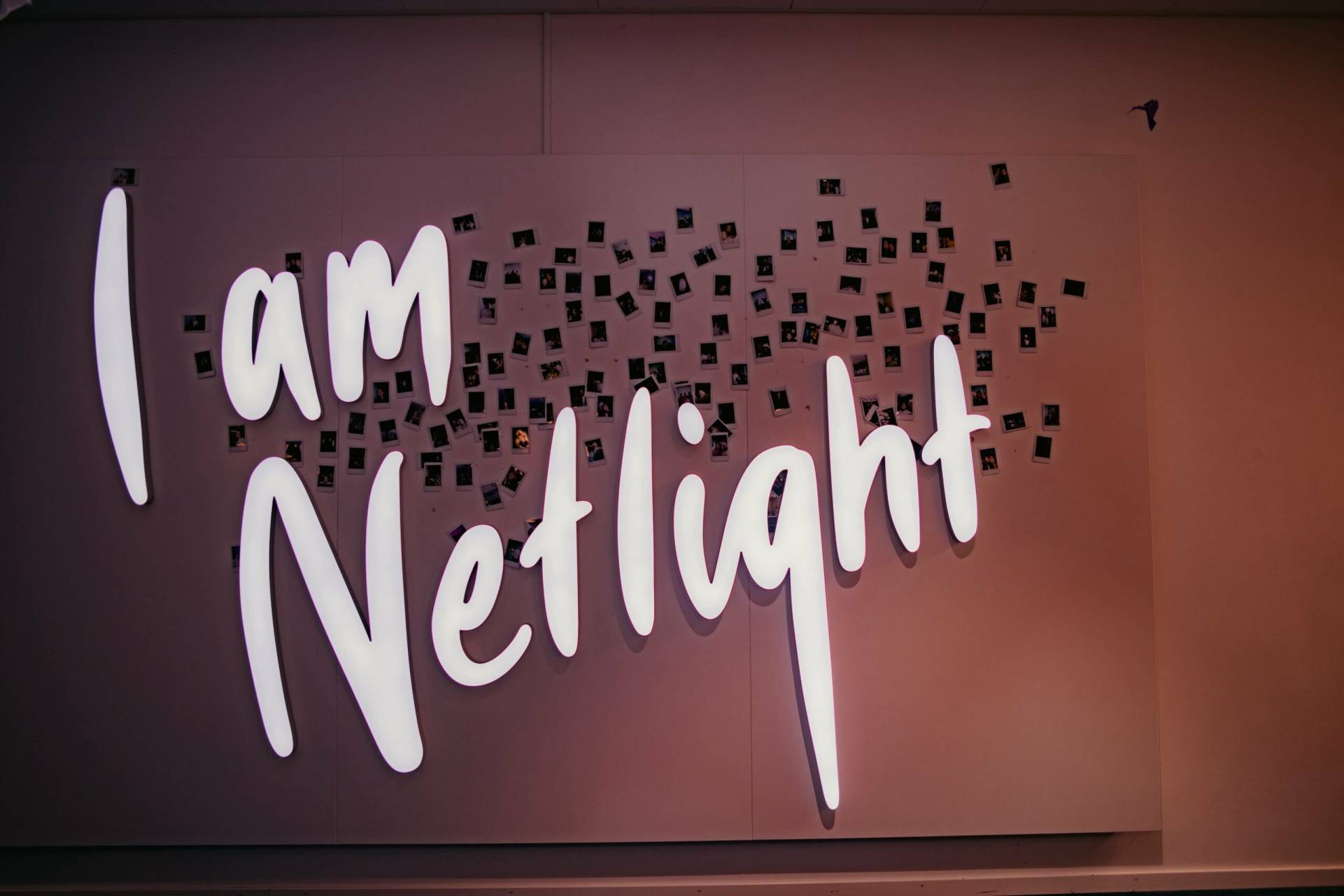 Netlight consulting engagements